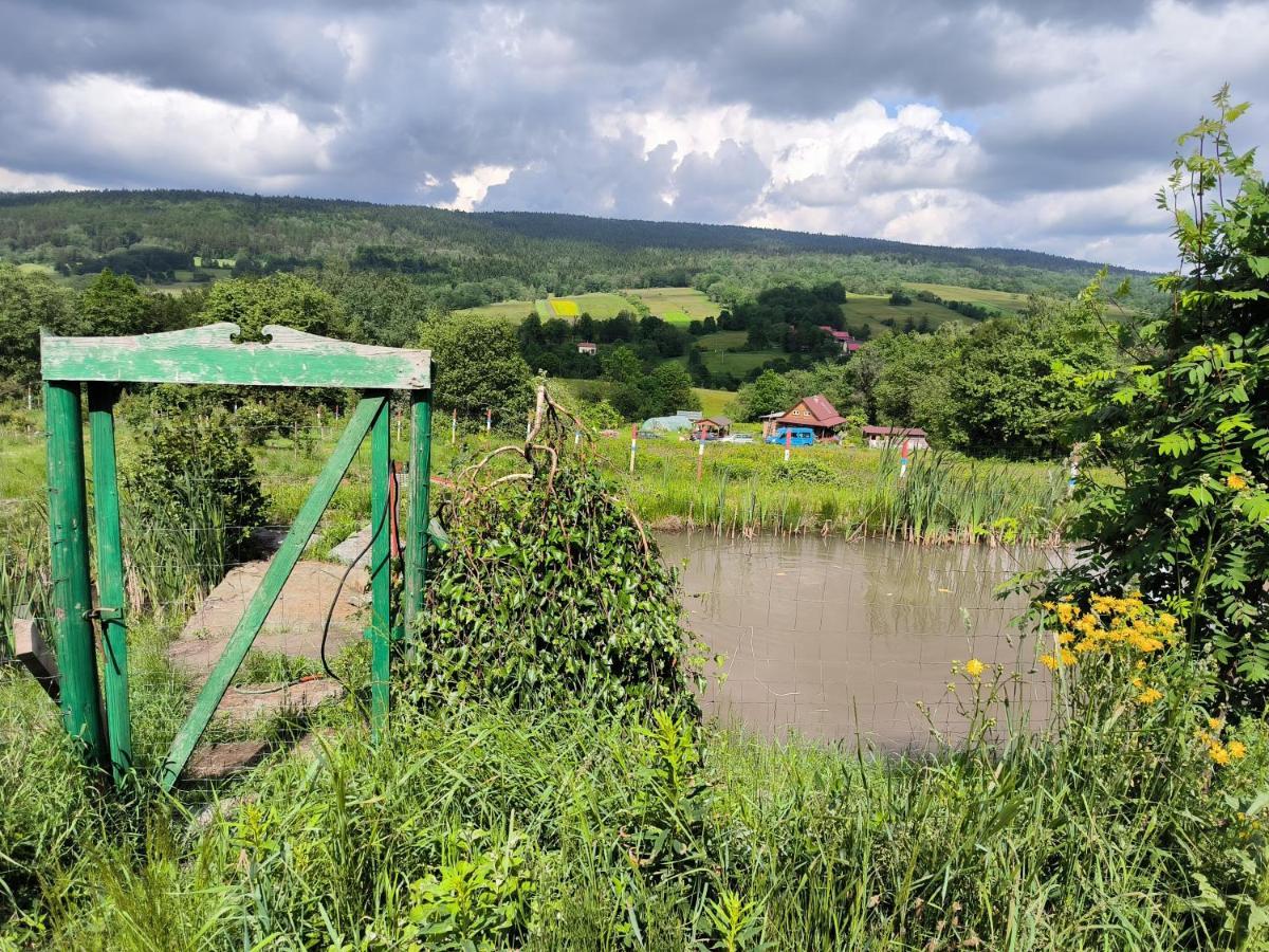 Agroturystyka Odnowica U Pawla מראה חיצוני תמונה